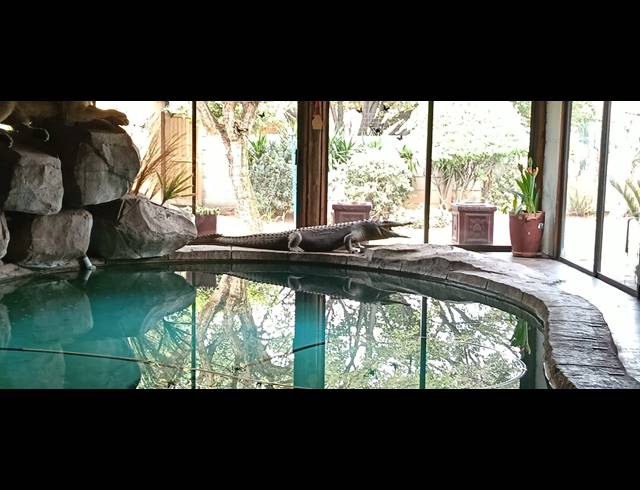 4 BEDROOM HOUSE FOR SALE IN REYNO RIDGE